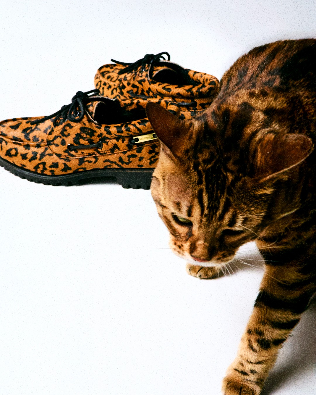 Timberland 与 WACKO MARIA 推出联名鞋款