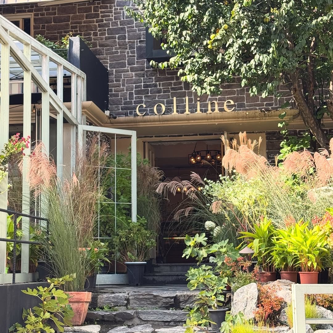 Colline café